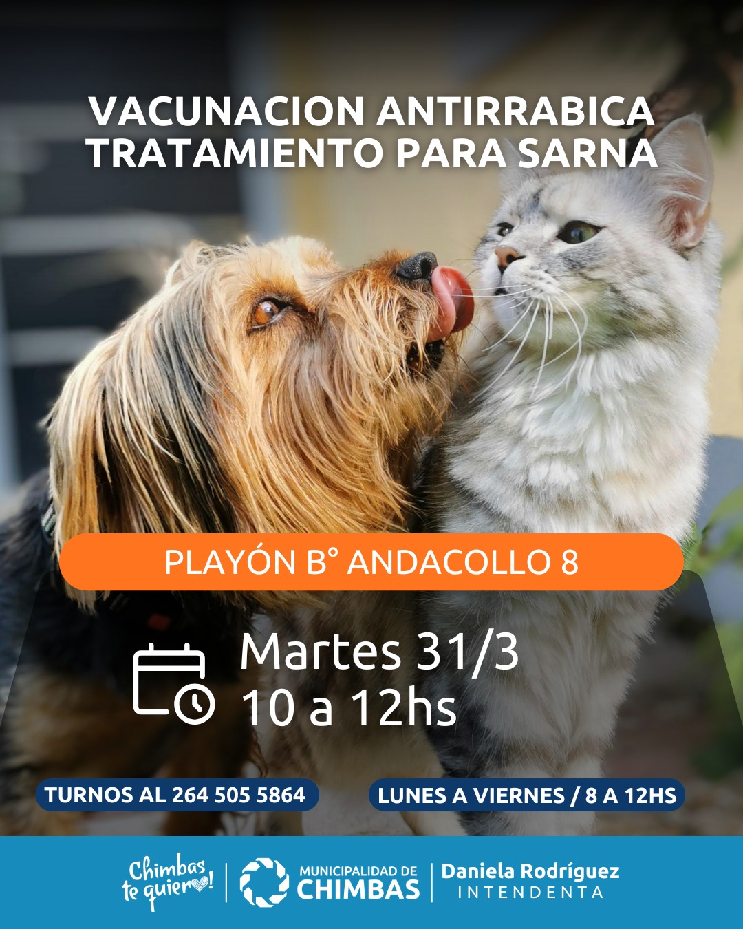 vacunaciÓn antirrÁbica