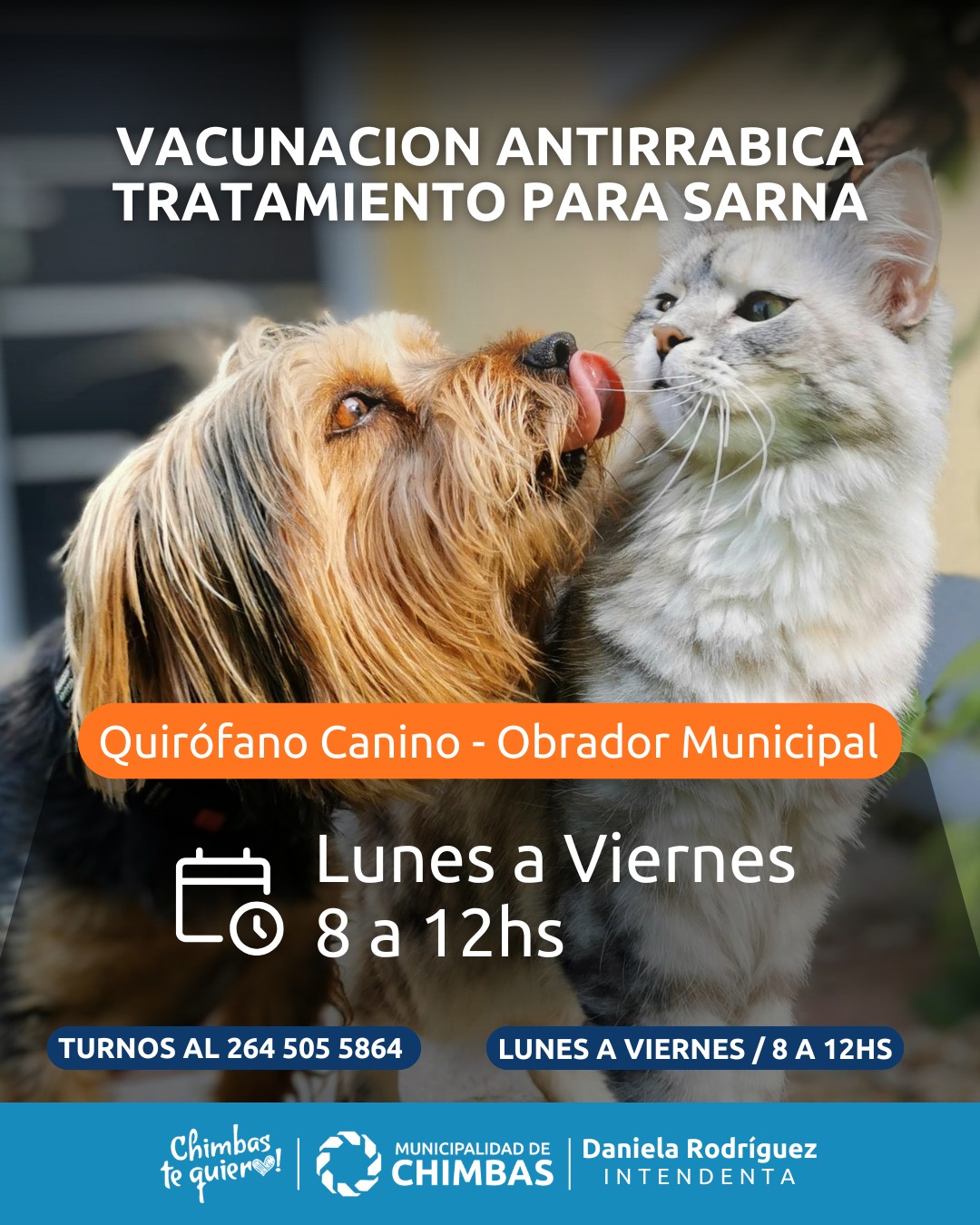 vacunaciÓn antirrÁbica