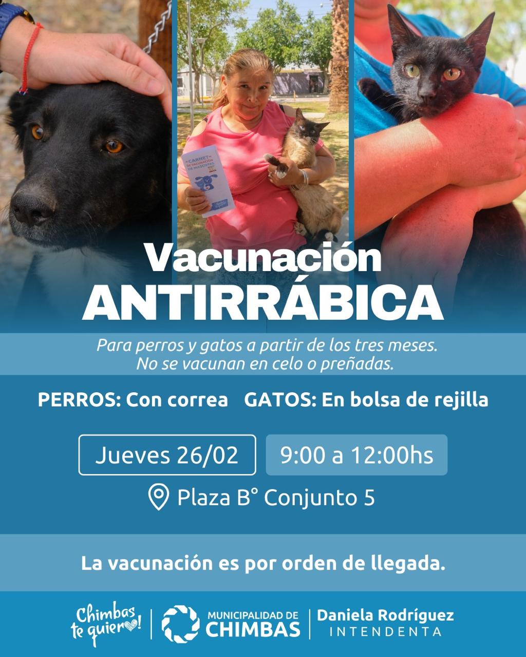 vacunaciÓn antirrÁbica